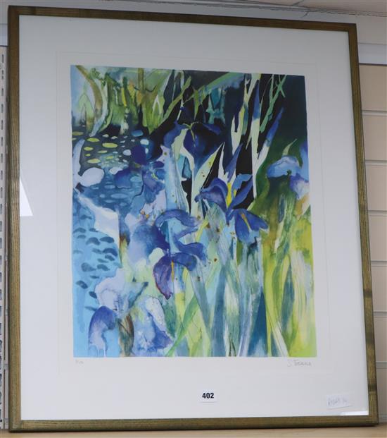 S. Trevena, limited edition print, Irises, signed, 7/75, 60 x 51cm